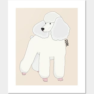 Cute poodle dog Posters and Art